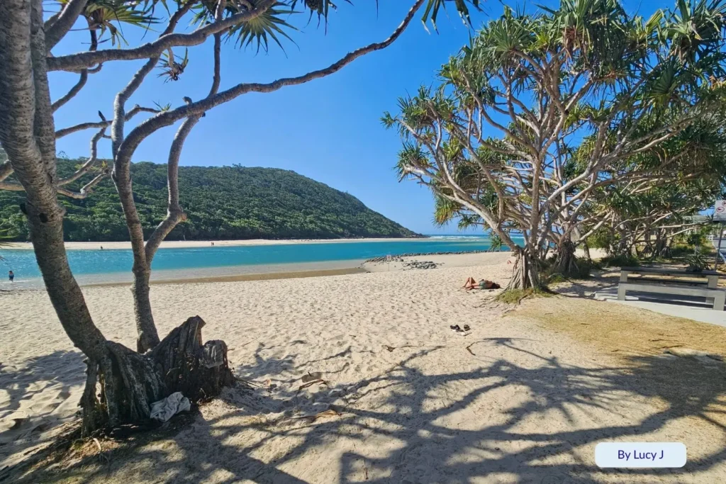 “Tallebudgera Creek’s golden sand and turquoise water framed by pandanus trees and Burleigh Headland under bright blue skies, Gold Coast, Queensland, Australia